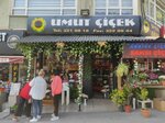 Umut Flower House (Ankara Province, Kecioren District, Yunus Emre Cad., 3B), flower shop