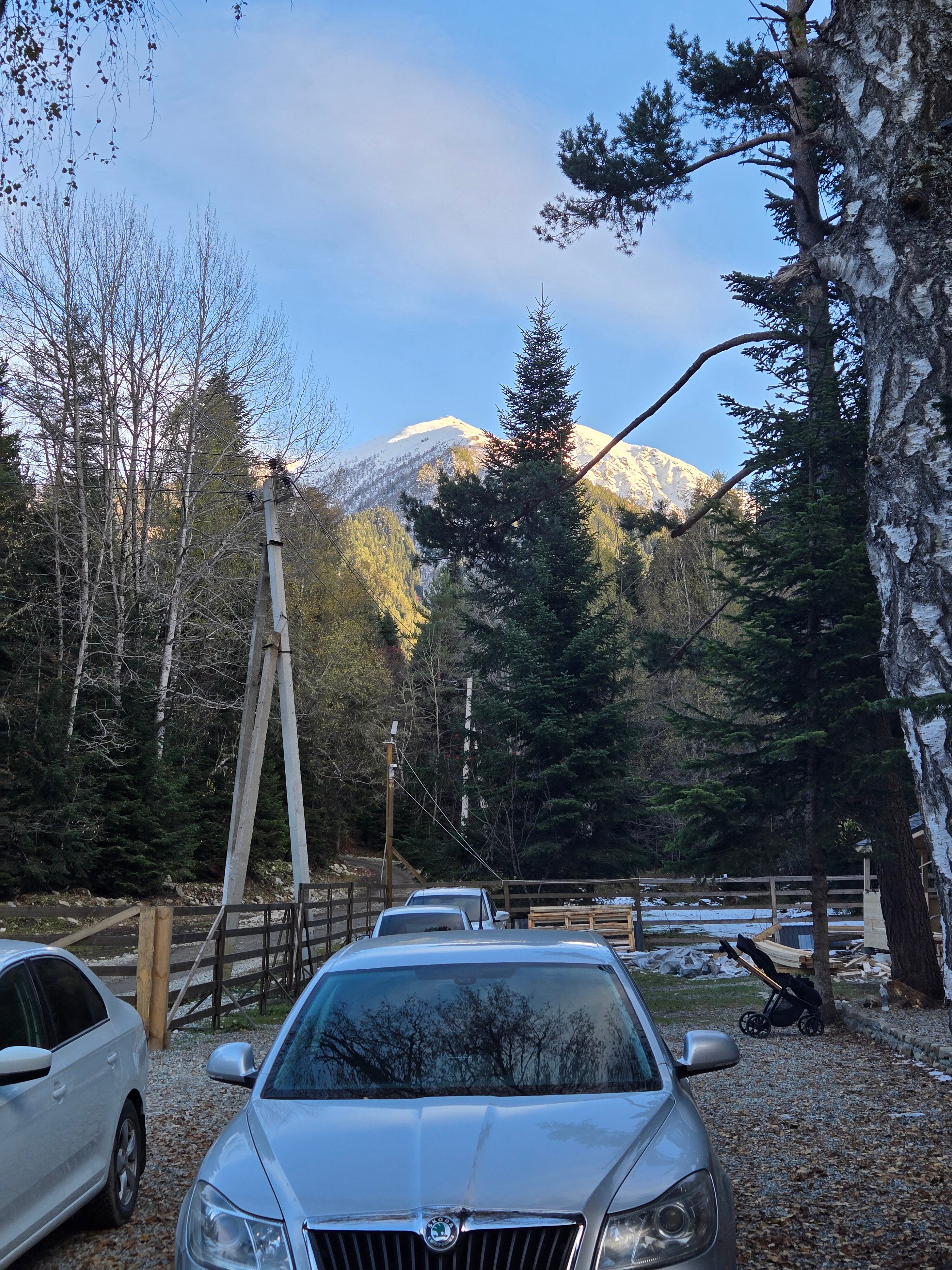 Фото Greenhouse 1599