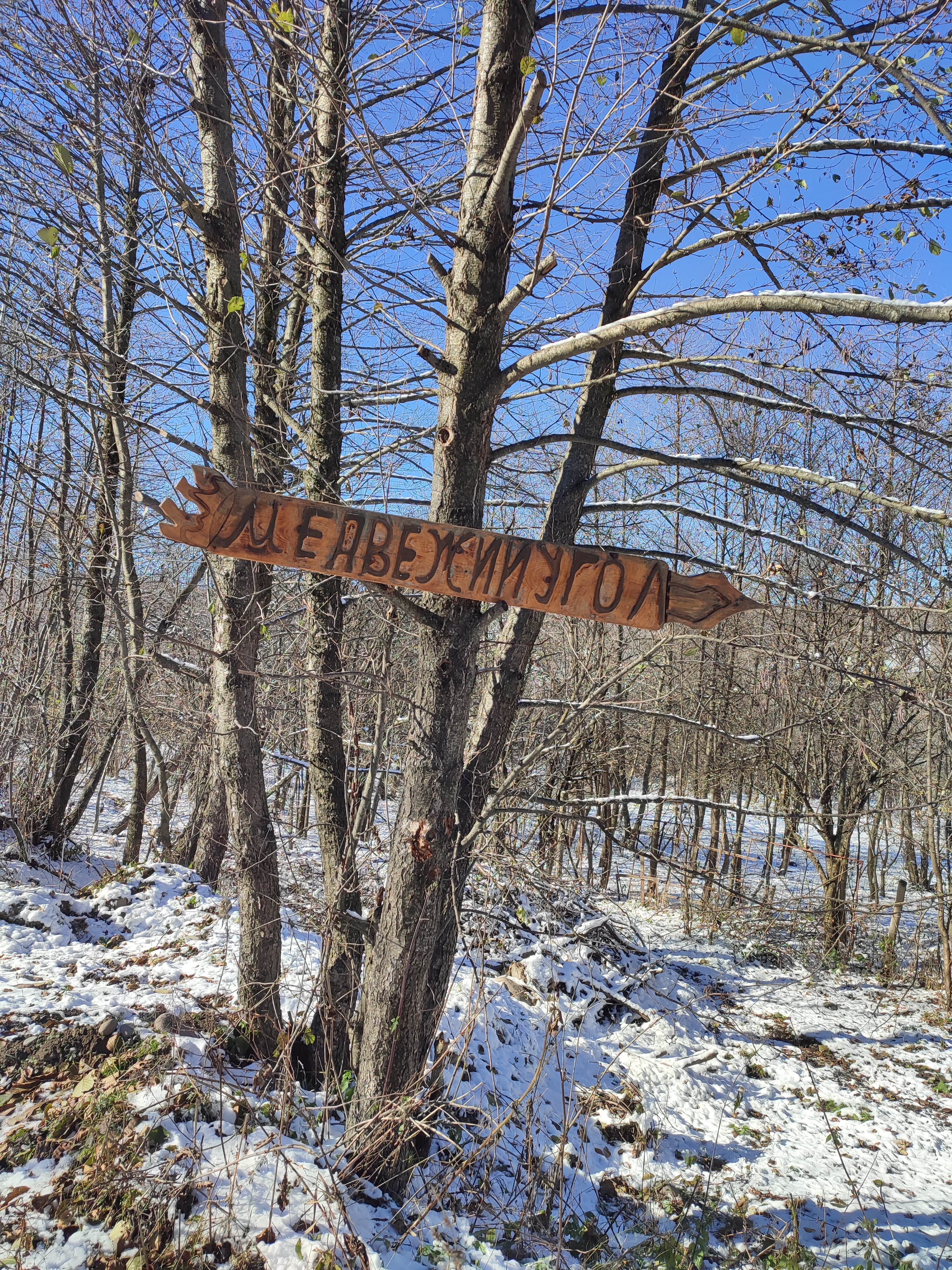Фото Медвежий угол