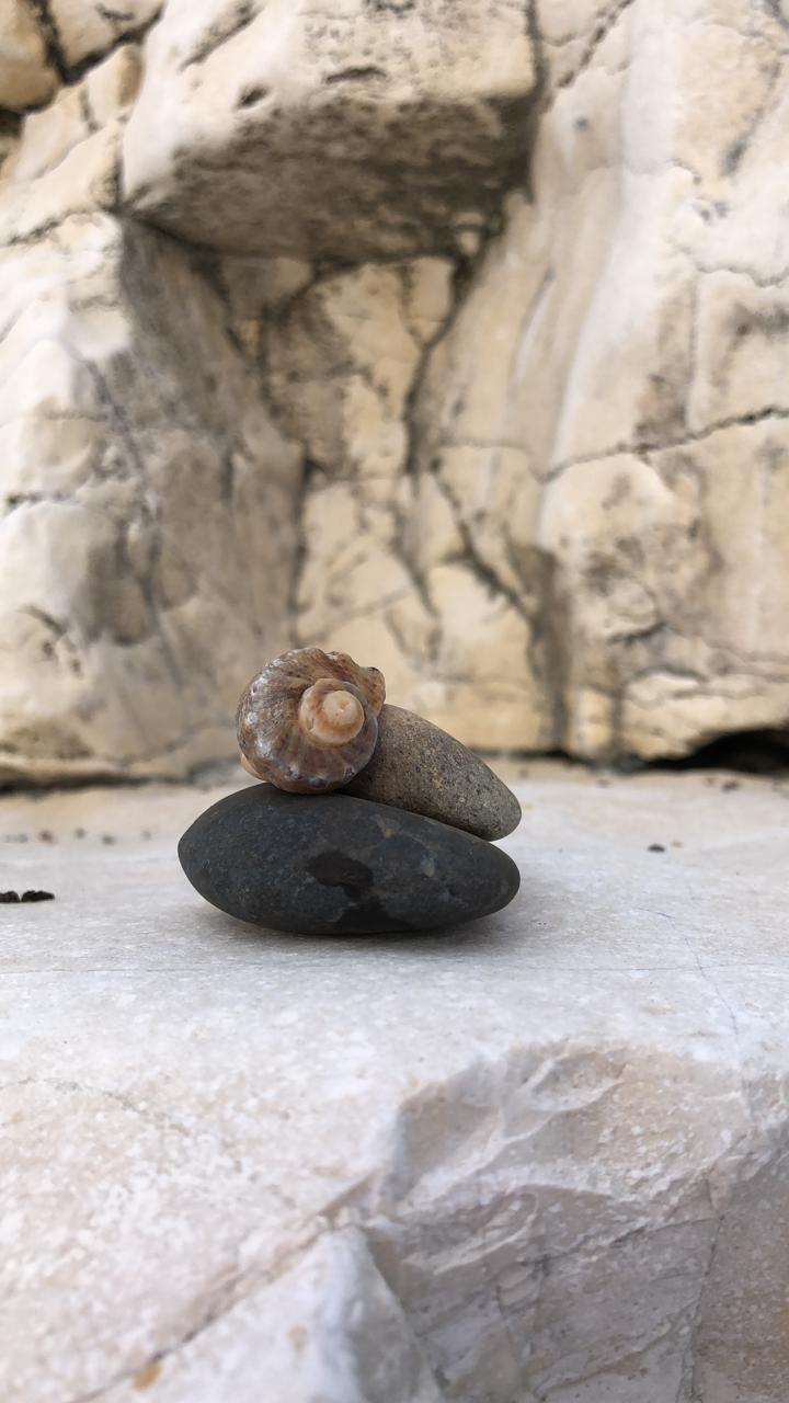 Фото Гостевой дом Sauchi