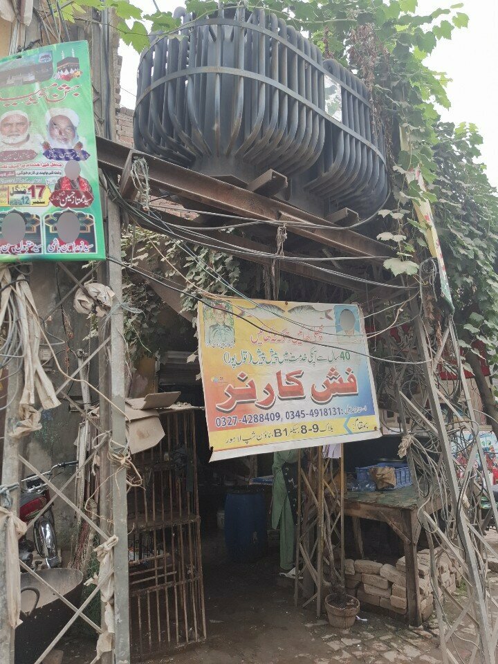 Fish and seafood Fish Corner, Lahore, photo