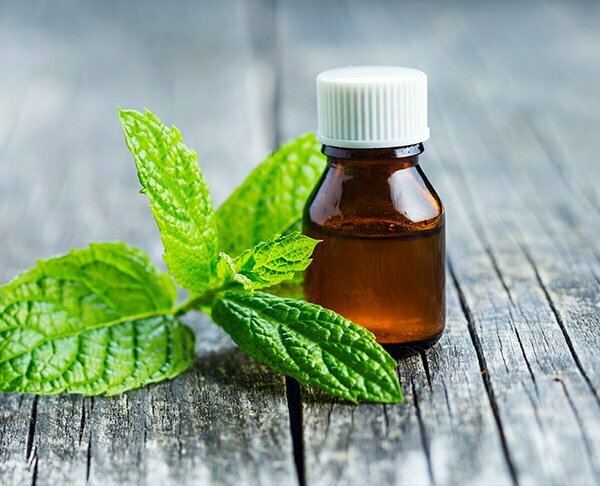 Water filters Kangen Water UAE & ME, Dubai, photo