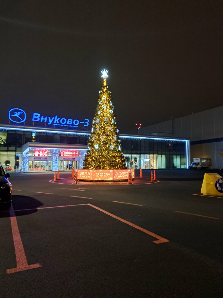 Airport terminal Vipport Vnukovo-3, Moscow, photo