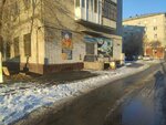 Курганская городская общественная организация ветеранов и инвалидов военно-воздушных сил (Vasiliya Blyukhera Street, 72), community organization