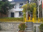 Petto Veterinary Clinic (Istanbul, Kadikoy, Kosuyolu Neighborhood, Ali Nazima Street, 20) ، عيادة بيطرية