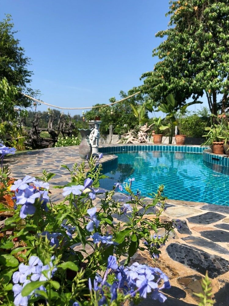 Фото Tree Roots Retreat