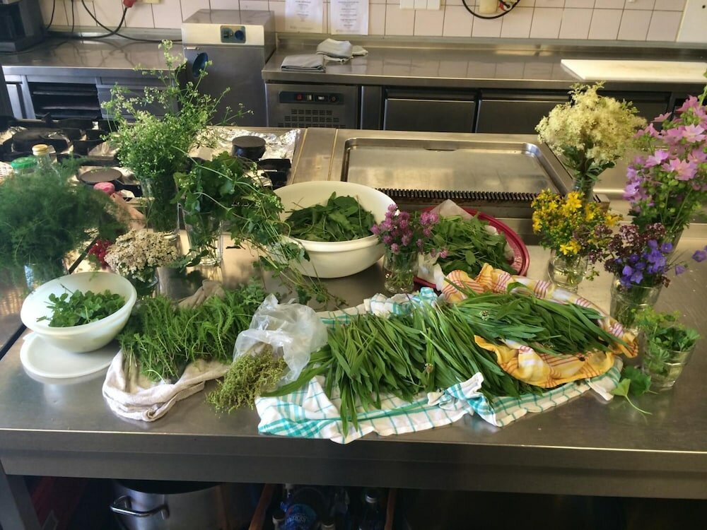 Фото Gutshof Hotel Waldknechtshof