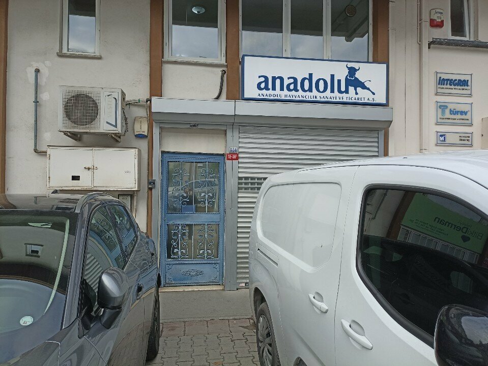 Intensive animal farming Anadolu Hayvancilik, Istanbul, photo