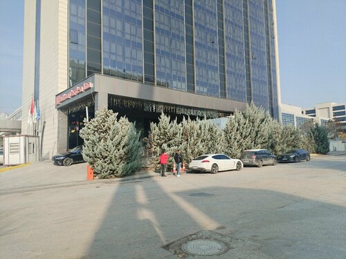 Гостиница Hilton Garden Inn Ankara Gimat в Кечиорене