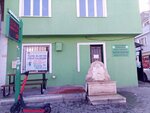 Ciftehavuzlar Mahallesi Muhtarligi (Bursa, Osmangazi, Çiftehavuzlar Mah., 1. Polat Sok., 34), mukhtars