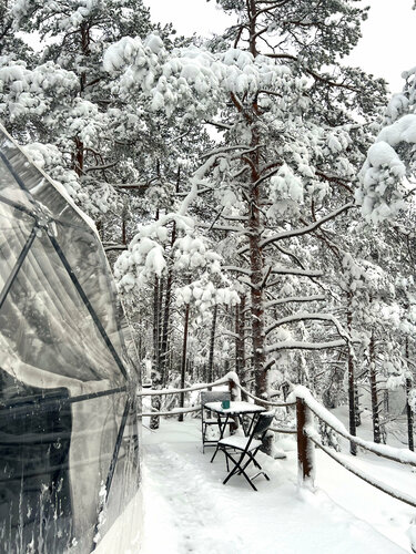 Глэмпинг Lago Ladoga в Валааме