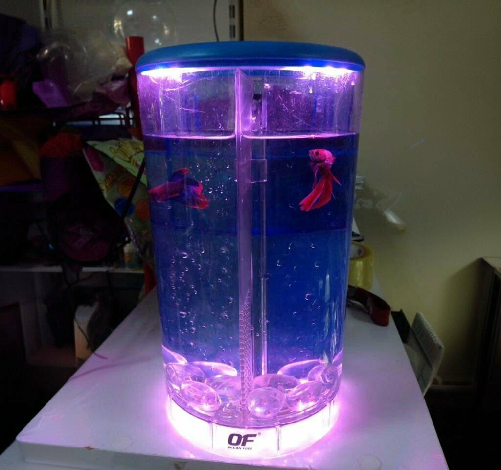 Pet shop Eylul Aquarium - Petshop, Torbali, photo