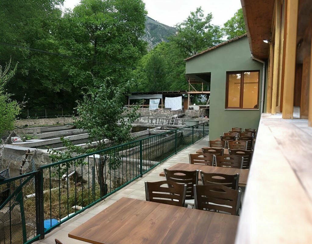 Restaurant Emin Trout Facilities, Uzundere, photo