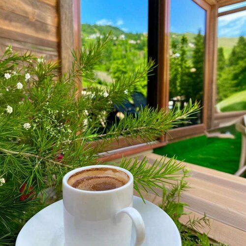 Гостиница Elasya bungalow в Чамлыхемшине