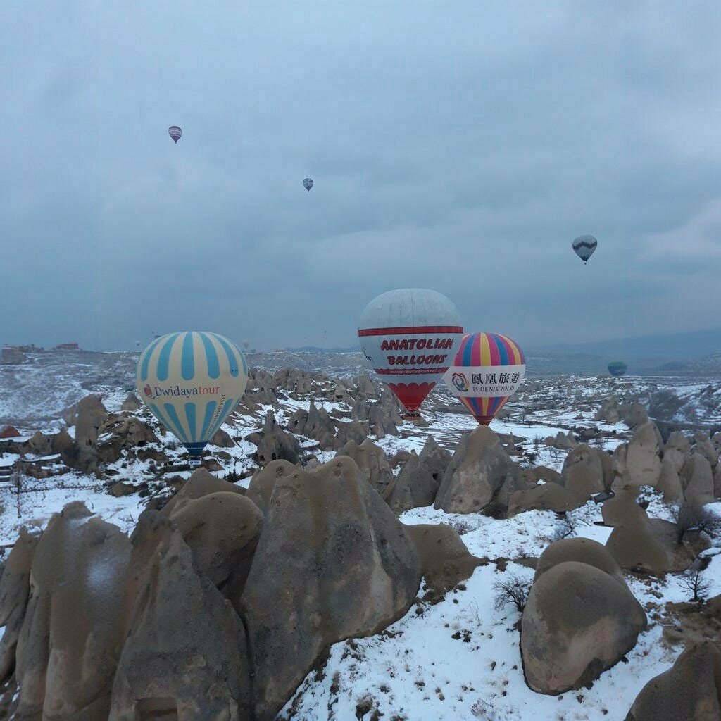 Veterinary clinic Terapi Veteriner Avanos, Avanos, photo