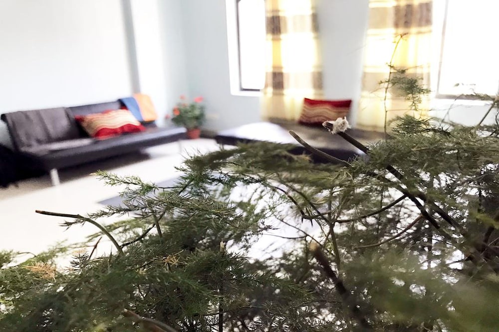 Фото Lazimpat Luxury Apartments