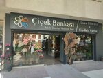Flower Bank (İstanbul, Kadikoy, Mandıra Cad., 210A), floristeria