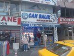 Can Fish Mecidiyekoy (İstanbul, Şişli, Mecidiyeköy Mah., Selahattin Pınar Cad., 22B) ، الأسماك والمأكولات البحرية