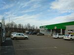 Новый (Zvyozdny pereulok, 2/1), garden center