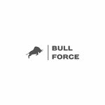 BullForce (ул. Шувалова, 40), спортивный, тренажёрный зал в Мурино