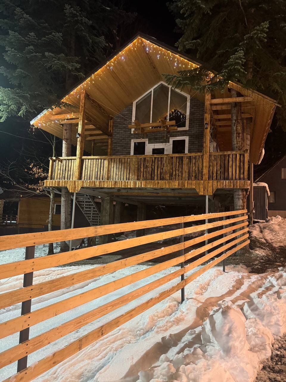 Фото Аргали