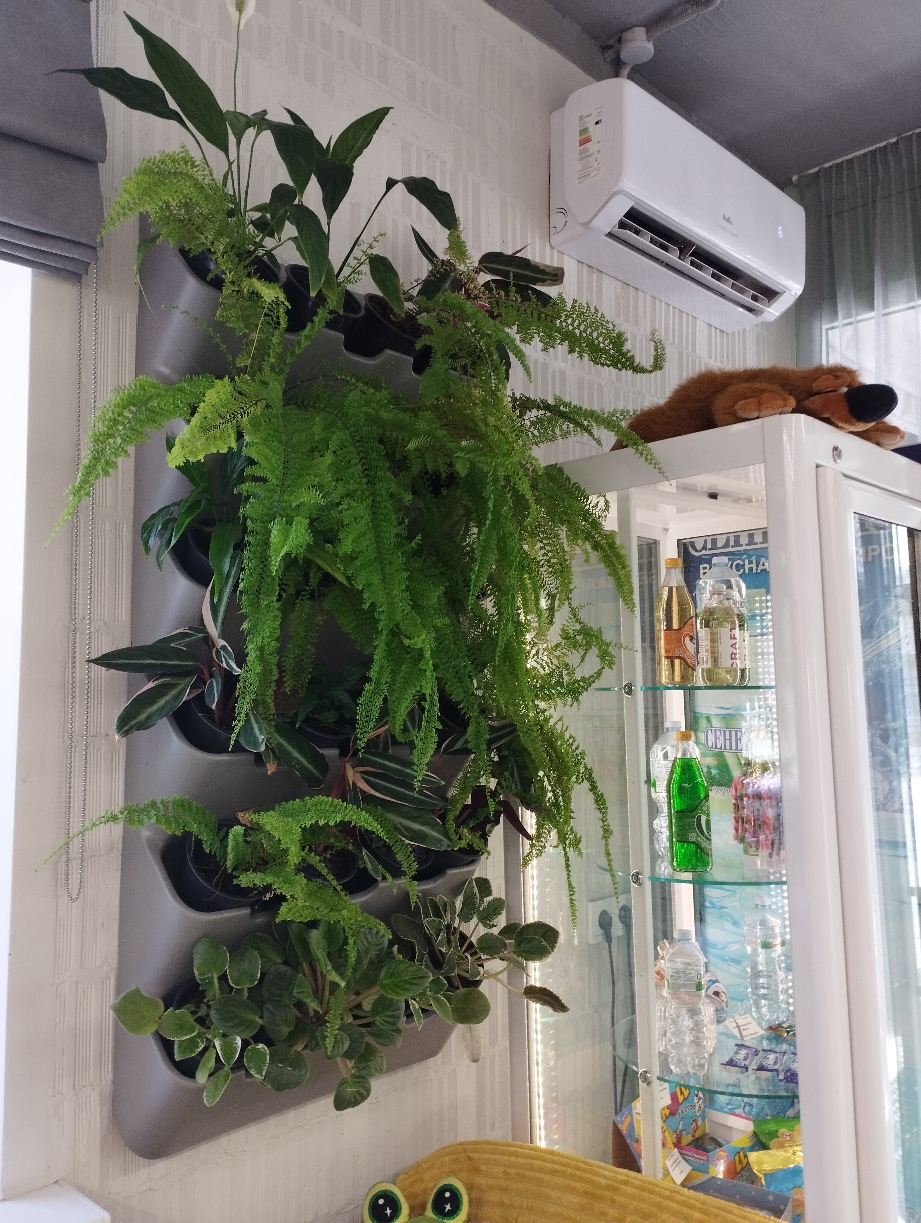 Фото Лимонад