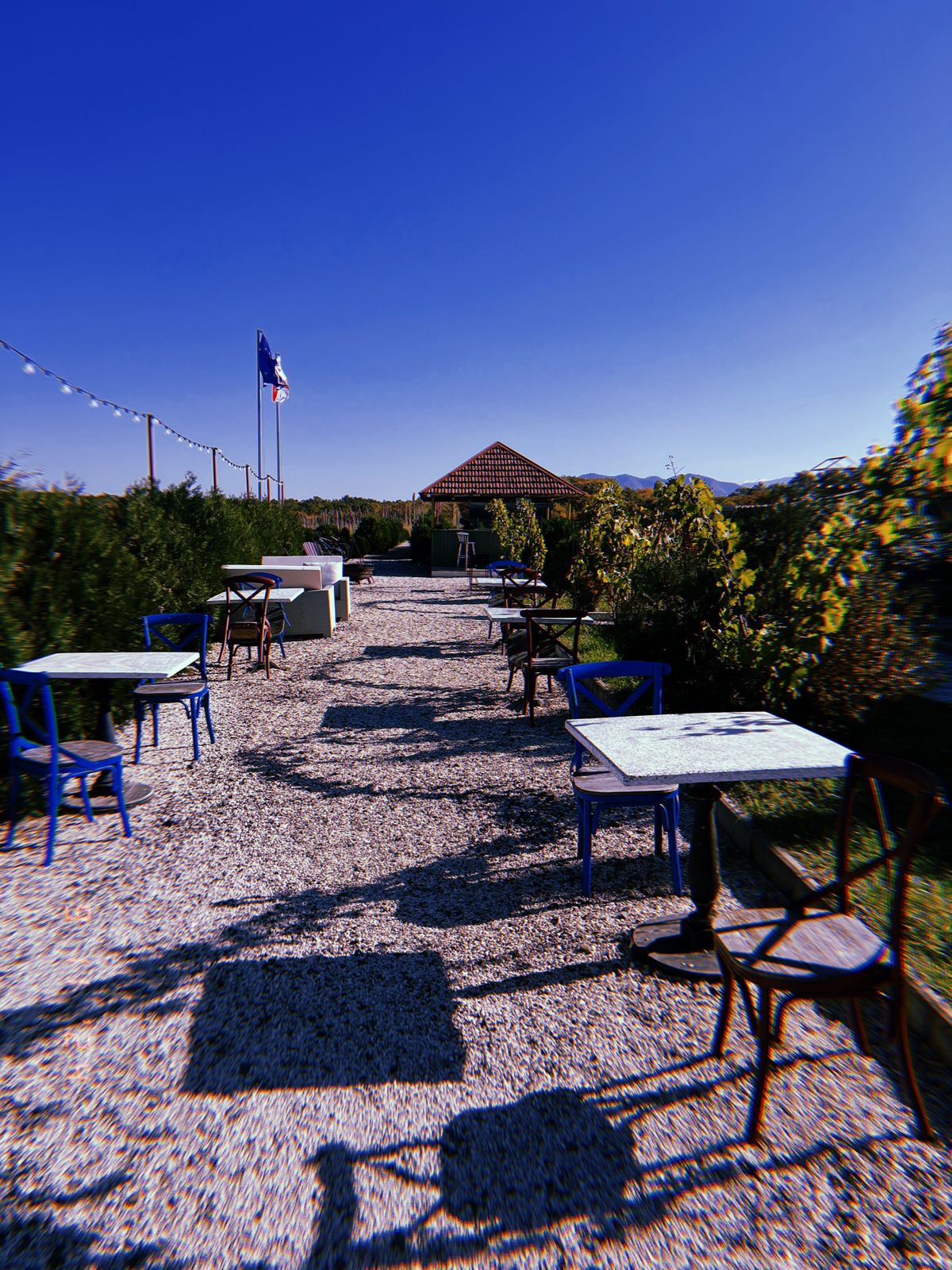 Фото Chateau Vartsikhe