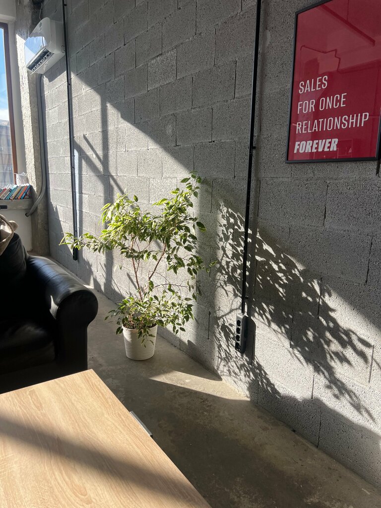 Software companies NextStack, Yerevan, photo