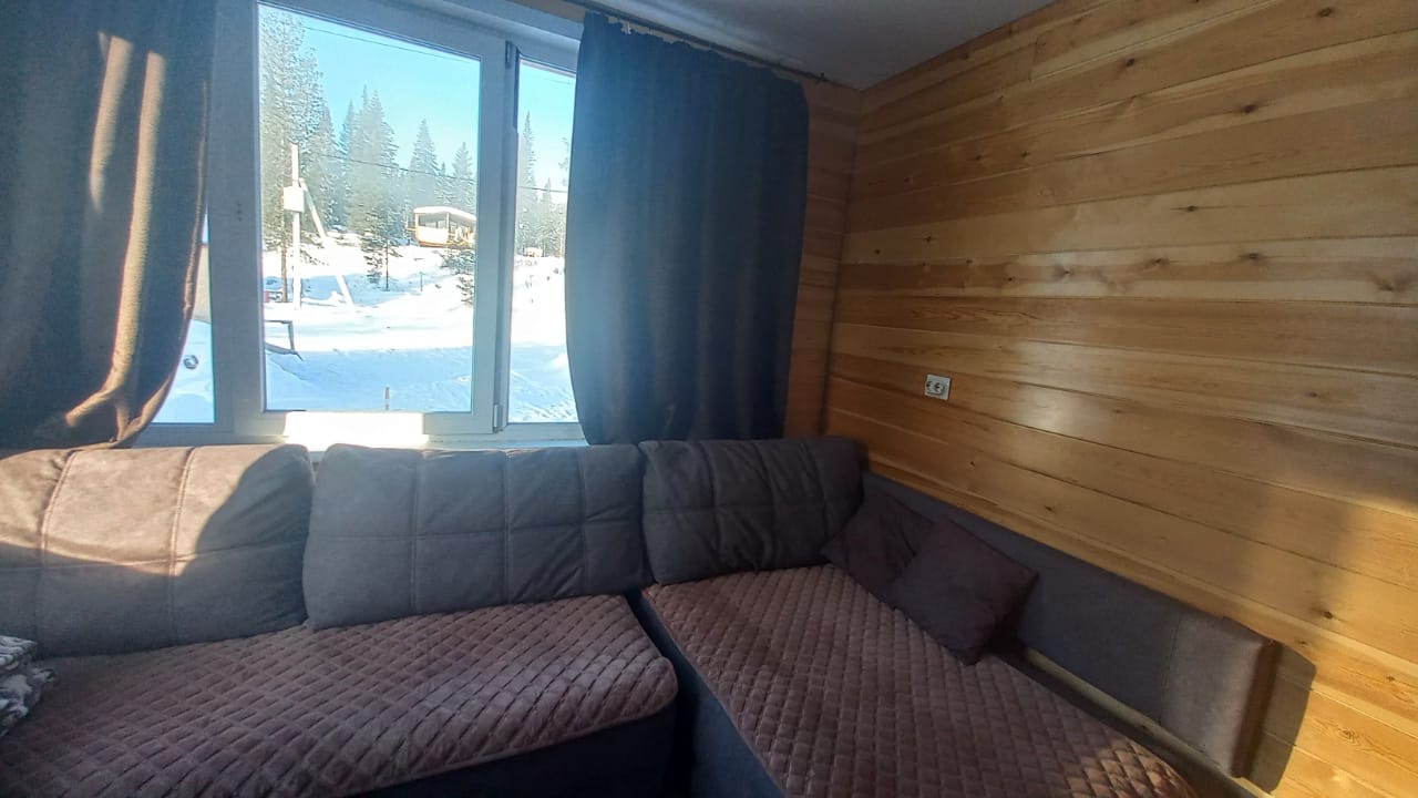 Фото Брусника