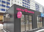 Flowers Meleuza (Lenina Street, 133) ، محل زهور