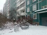 Tics-fly (derevnya Novoye Devyatkino, Lesnaya Street, 4), oficina de organización
