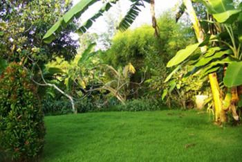 Фото Kubu Ampo Villa