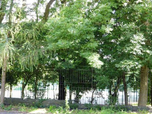 Фото The Old Vicarage Hotel