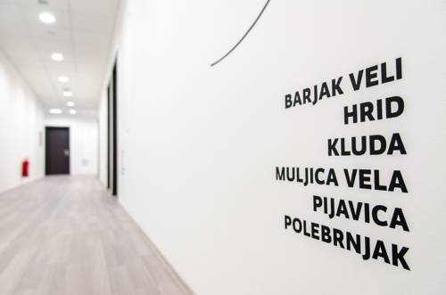 Фото 101 Dalmatinac