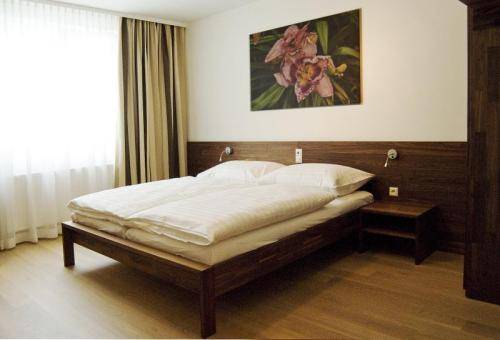 Фото H+ Hotel Ried