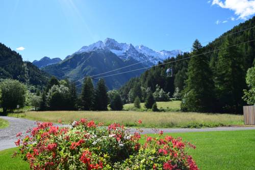 Фото Hotel Garni Pegra