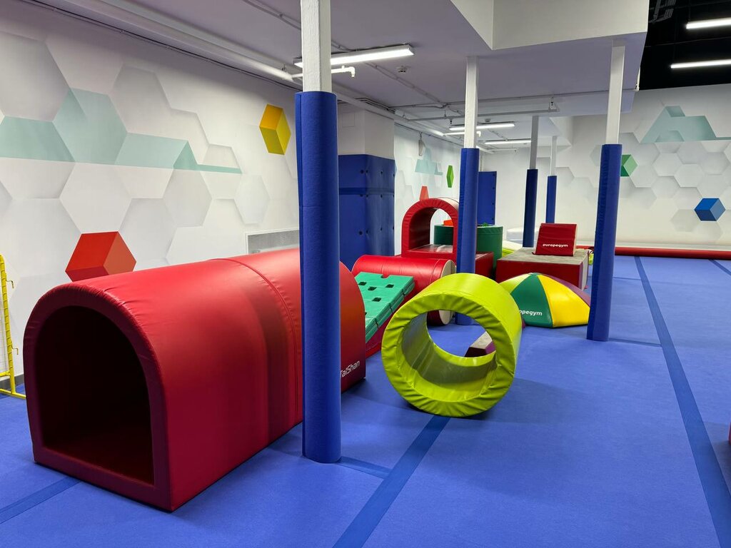 Sports club European Gymnastics Center, Moscow, photo