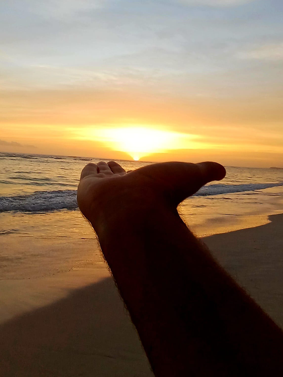 Фото Riu Republica - Adults only - All Inclusive