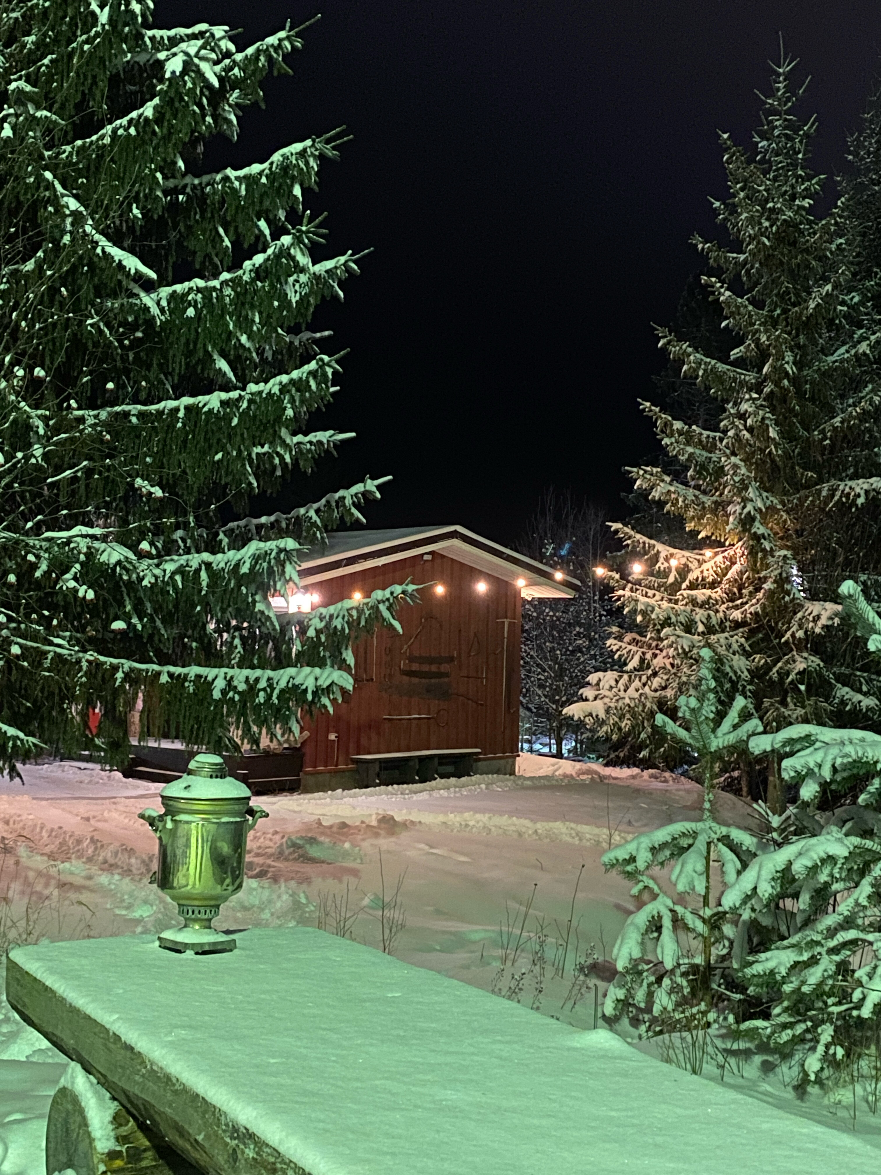 Фото Вепсский Хутор