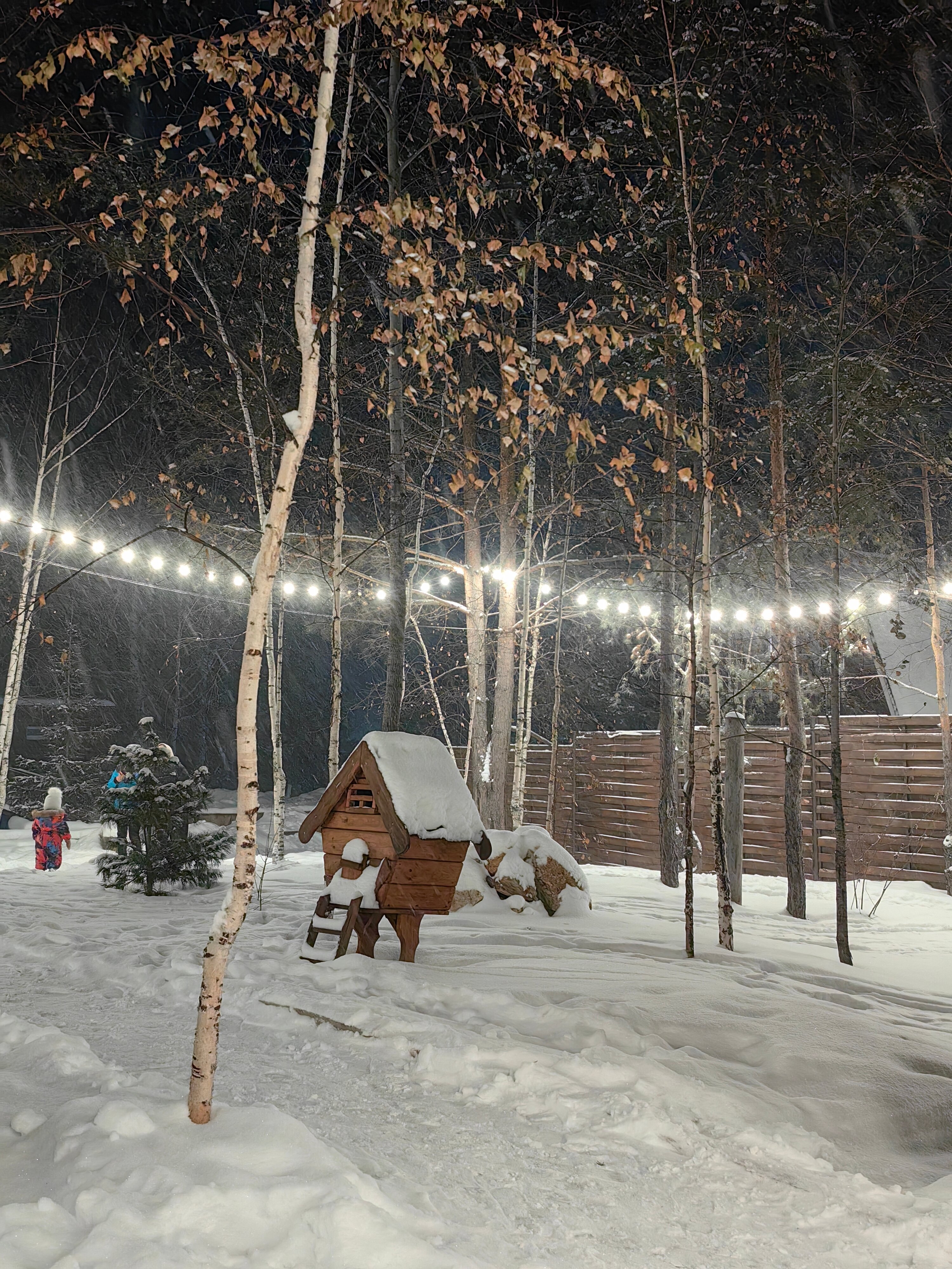 Фото Магия леса