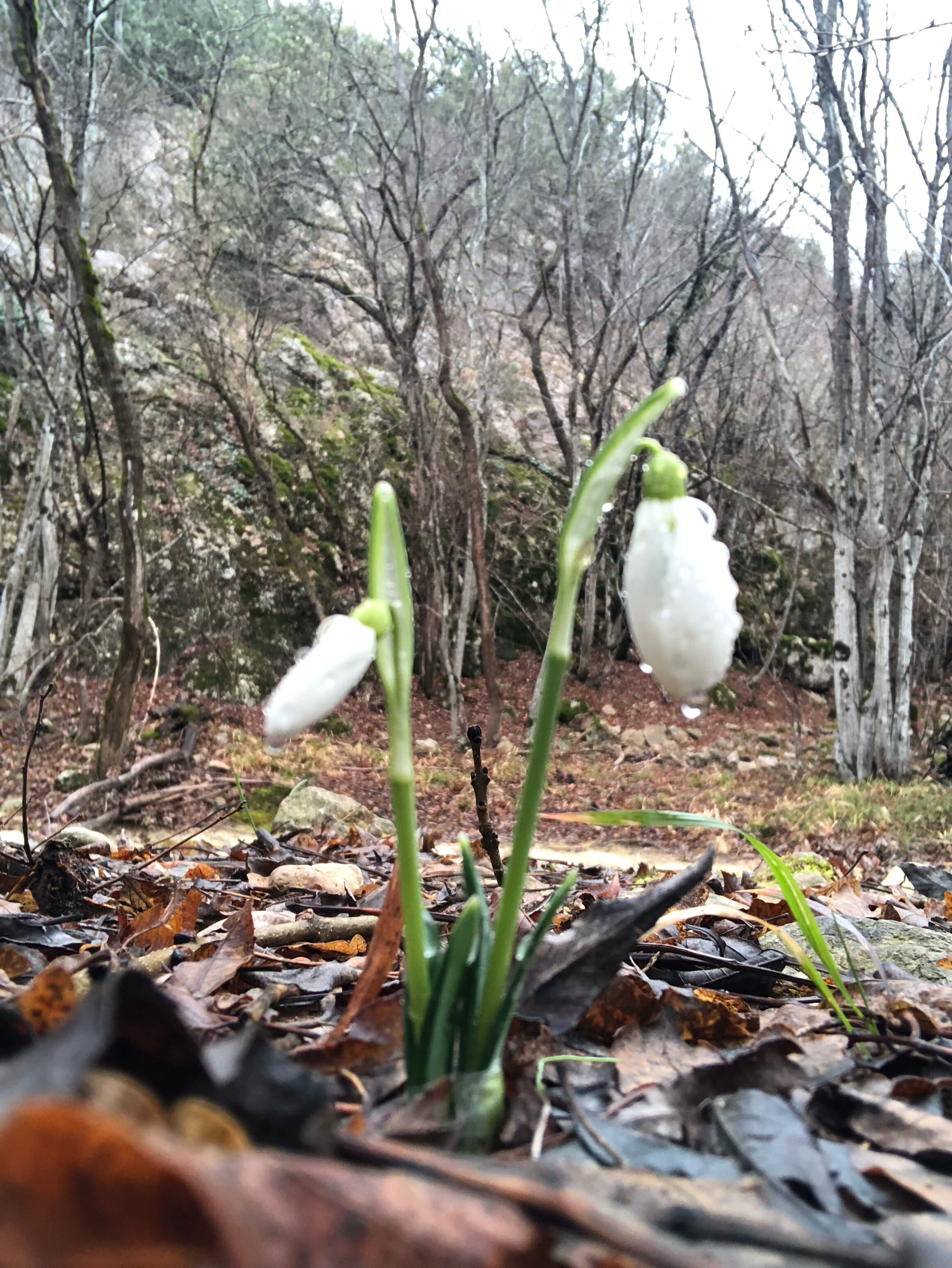 Фото Крымская Швейцария