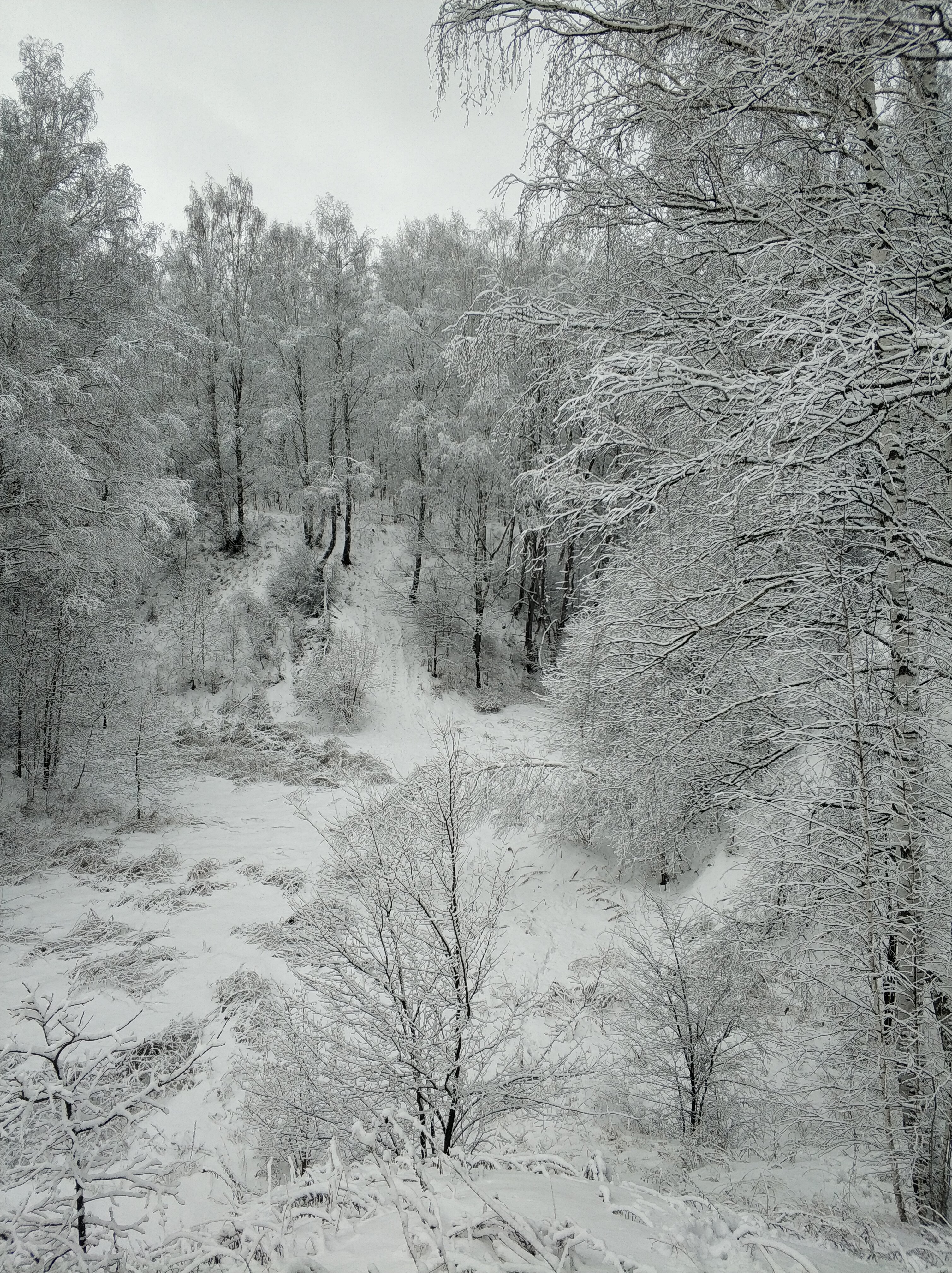 Фото Гармония тишины