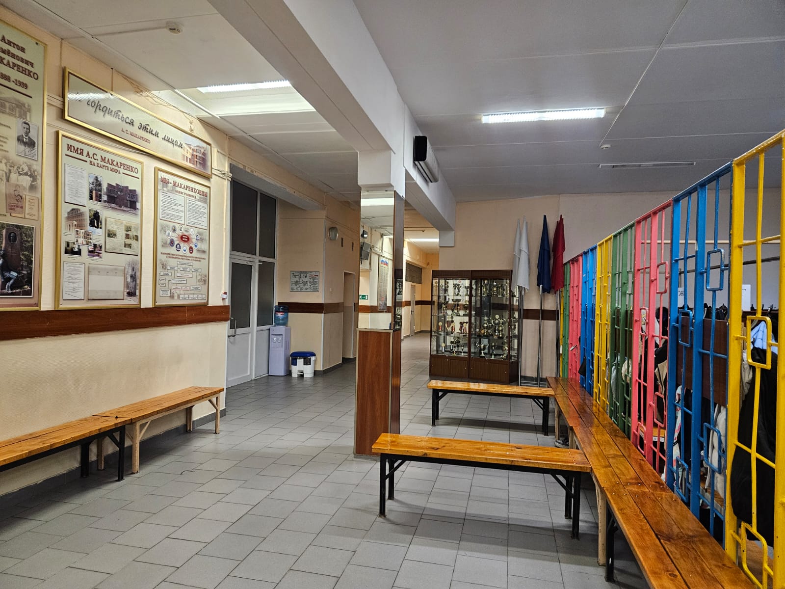 Фото Красный Подсолнух