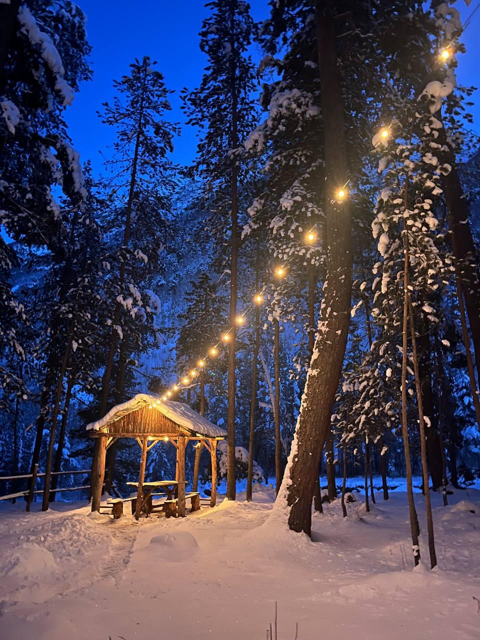 Фото Ала-Тау