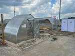 Теплицы и оборудование для теплиц (posyolok Novoguselskiy, Aleksandrovskaya ulitsa, 1А), greenhouse equipment