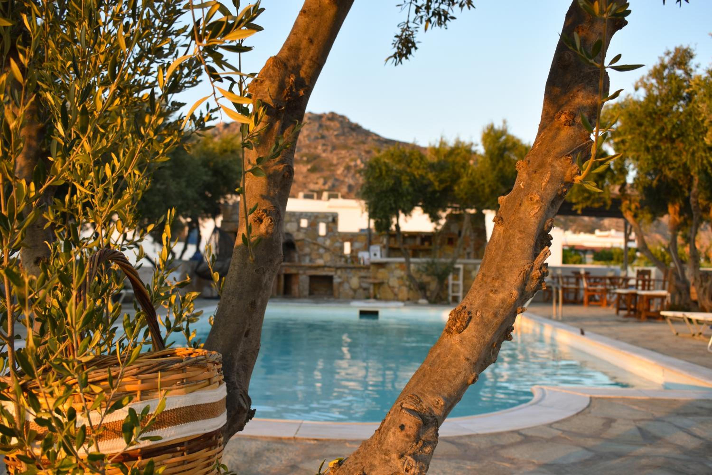 Фото Diamantis Studios