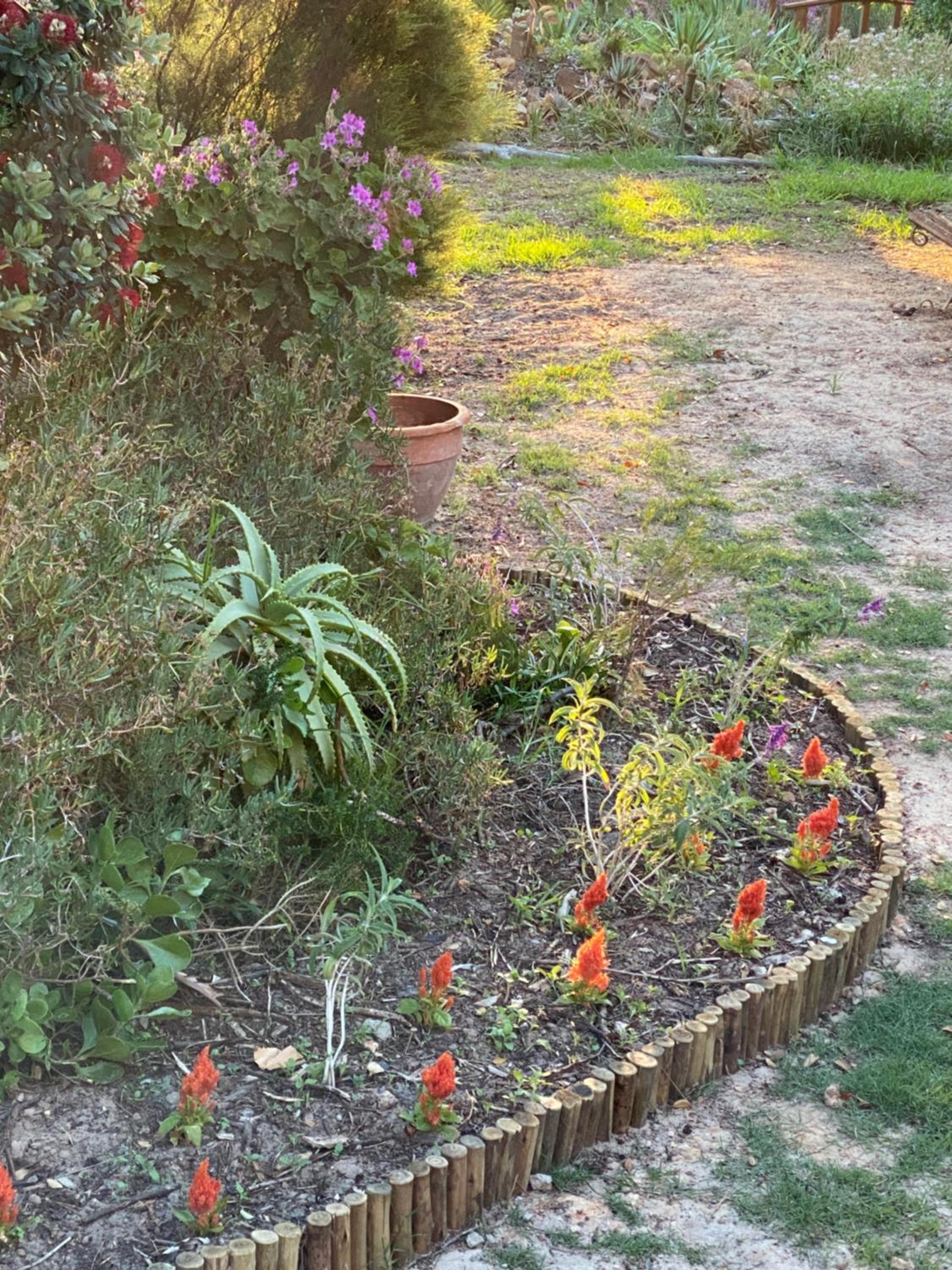 Фото Wild Rose Country Lodge