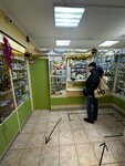Сибирь (Village of Buzharovo, Sovetskaya Street, 126А), pharmacy