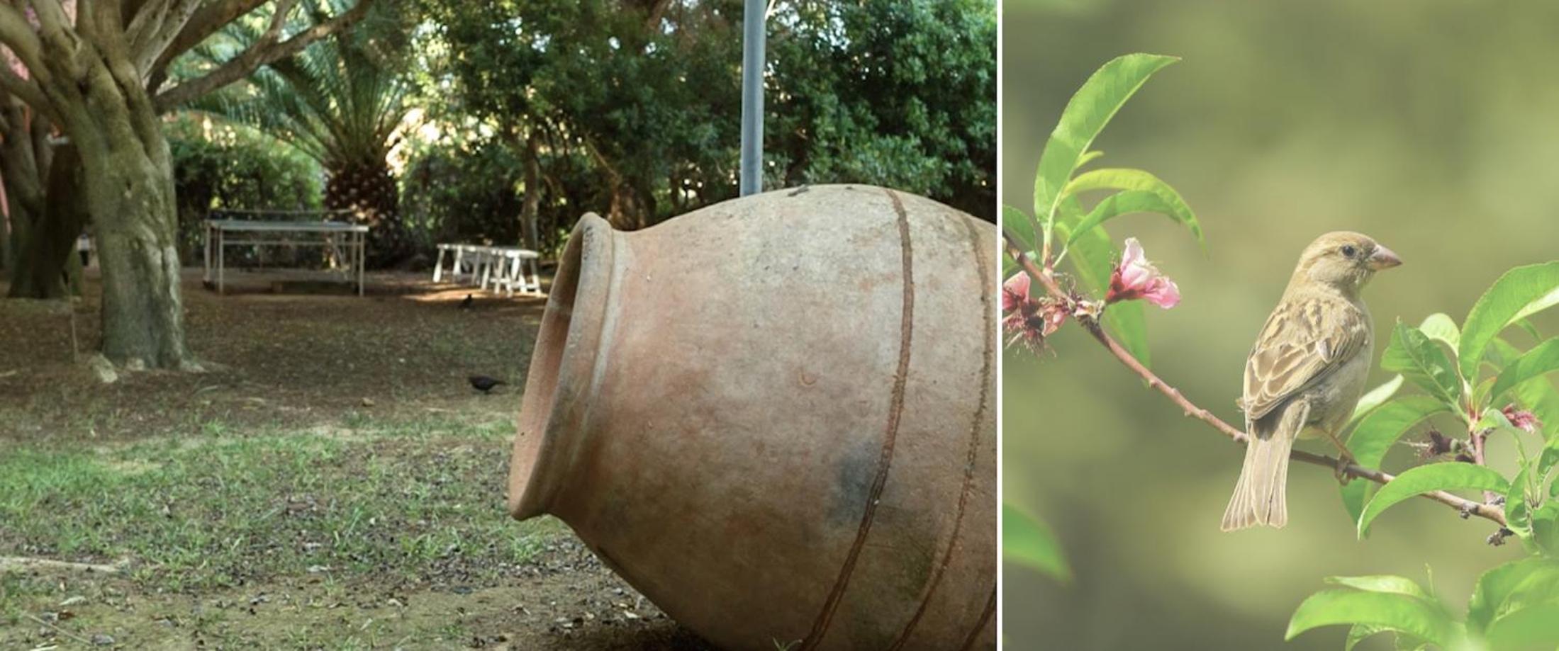 Фото Es Baulo Petit Hotel