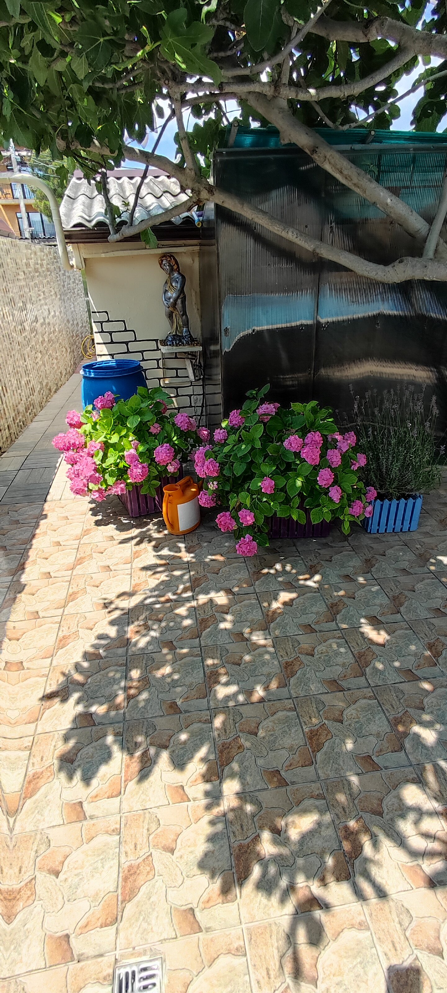 Фото Брюссельский дворик